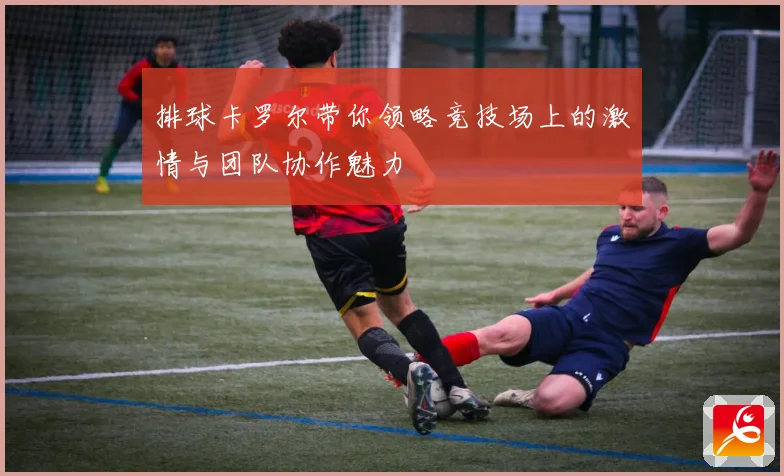 排球卡罗尔带你领略竞技场上的激情与团队协作魅力