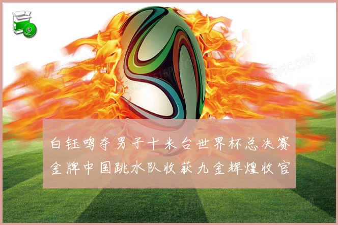 白钰鸣夺男子十米台世界杯总决赛金牌中国跳水队收获九金辉煌收官