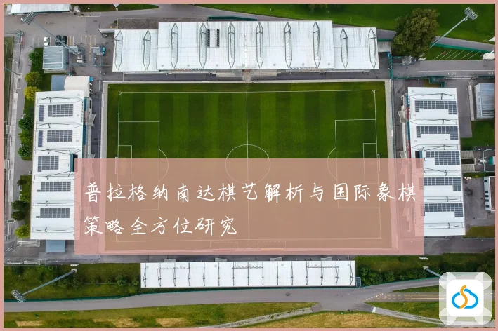 普拉格纳南达棋艺解析与国际象棋策略全方位研究